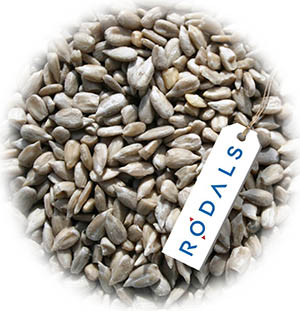 Miez de floarea soarelui